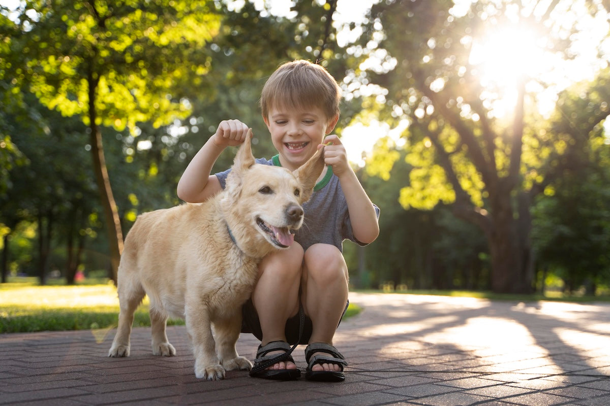 A smiling young child gently lifting their dog’s ears while spending time together in a sunny park, showing the joyful bond and friendship between kids and dogs.