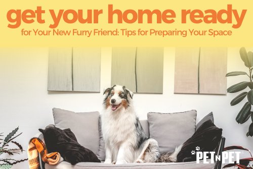 Get Your Home Ready for Your New Furry Friend: Tips for Preparing Your Space - Pet N Pet ®