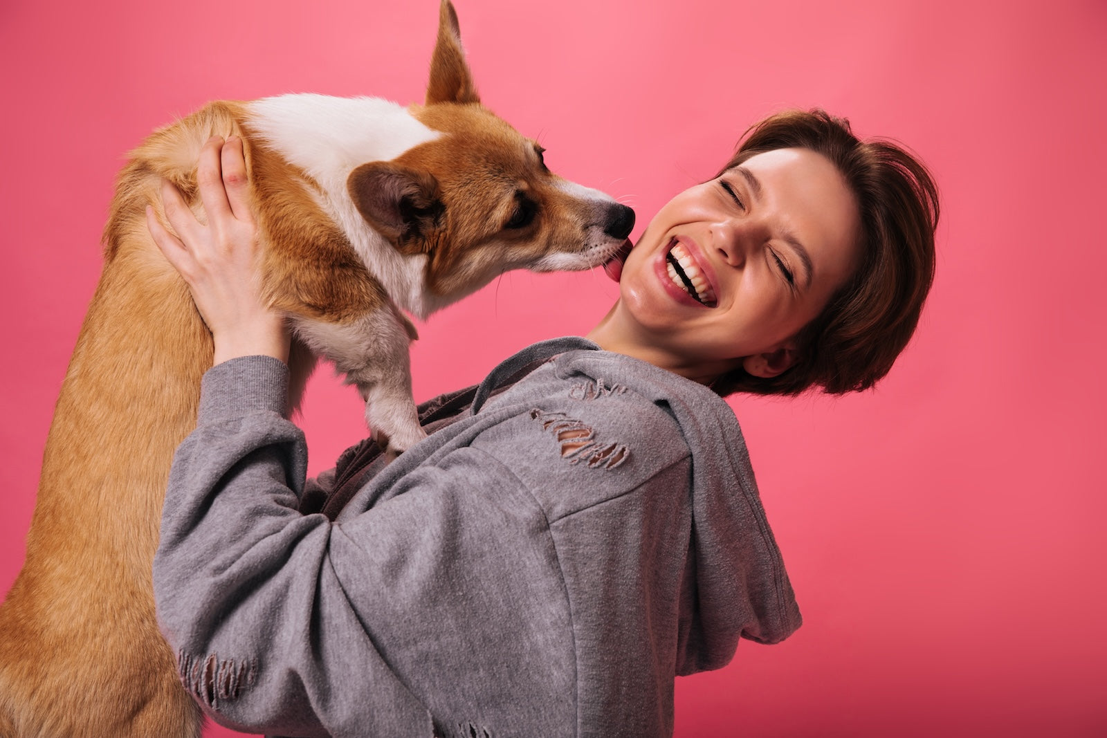 Happy woman laughing as her corgi licks her cheek, illustrating affectionate dog licking behavior for a blog about why dogs lick people.