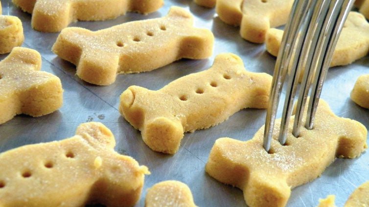 Homemade Pet-Friendly Treats - Pet N Pet ®