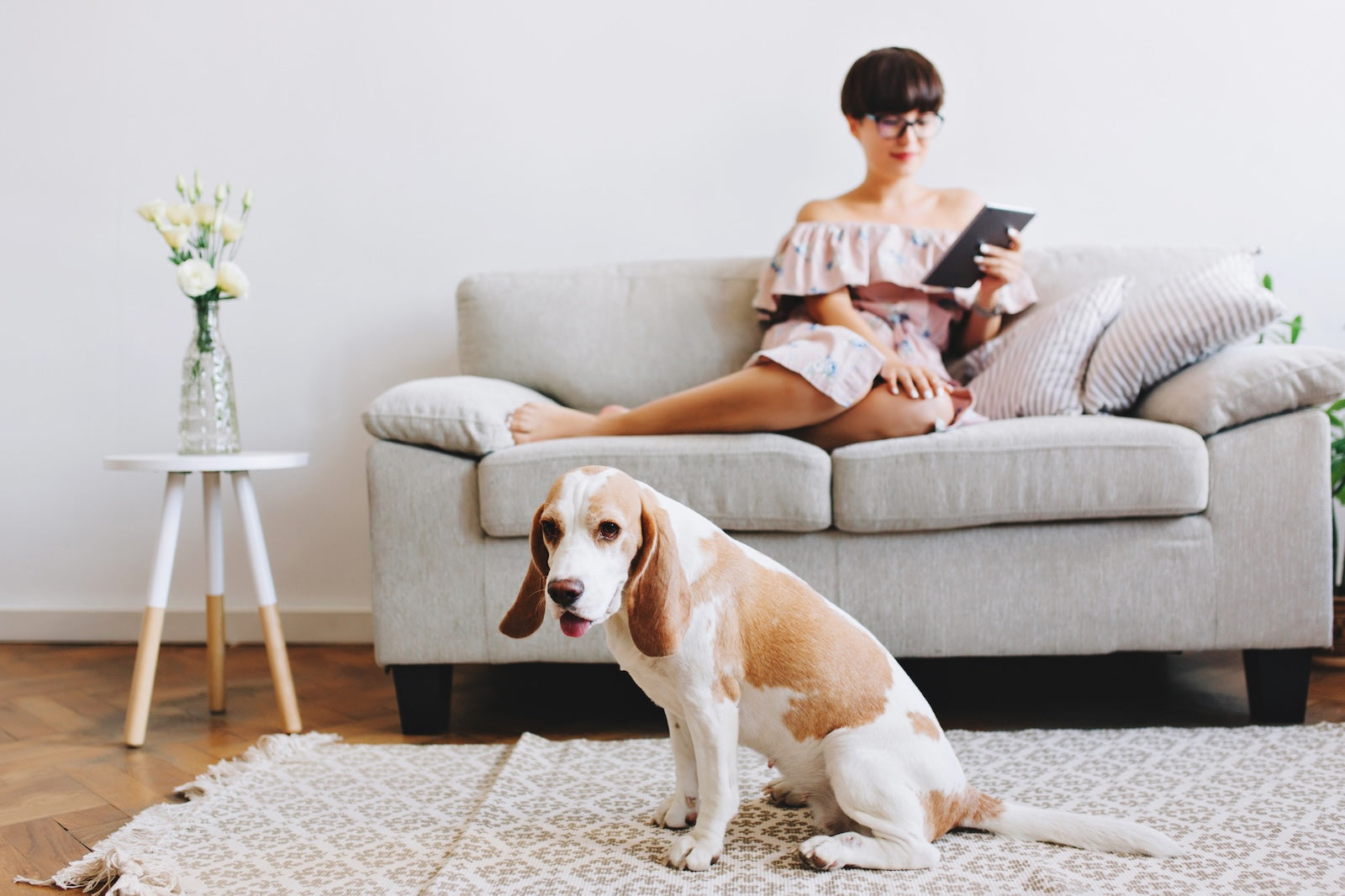 Dog sitting on a rug in front of a couch while its owner relaxes and reads, capturing a calm moment at home that reflects everyday life with a pet.