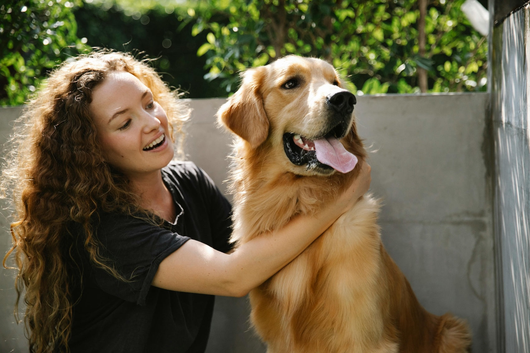 Woman with curly hair joyfully hugging a Golden Retriever outdoors. The dog panting happily, surrounded by greenery and a concrete wall.