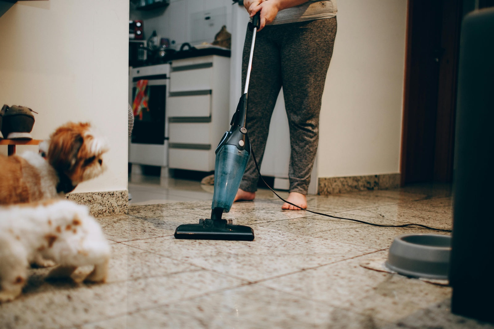 Person vacuuming the floor at home while a small dog sits nearby, showing a pet owner maintaining a clean living space with pets indoors.