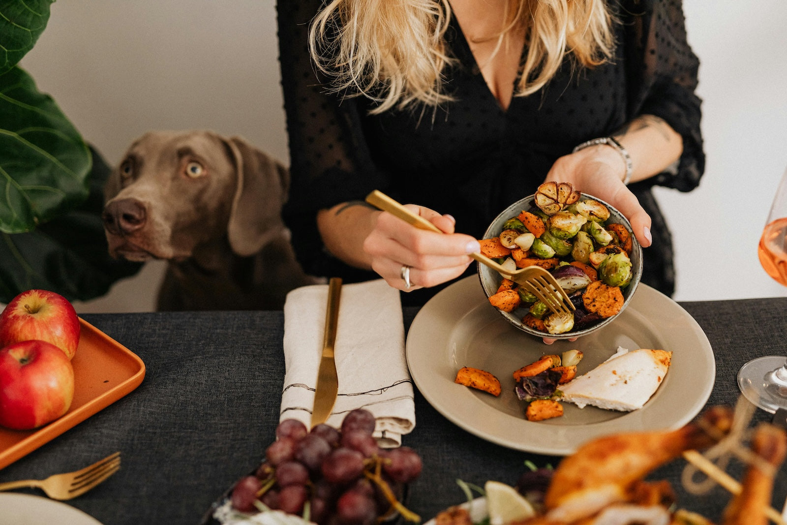 Dog staring at a bowl of vegetables during dinner, showing the risks of feeding table scraps to pets.