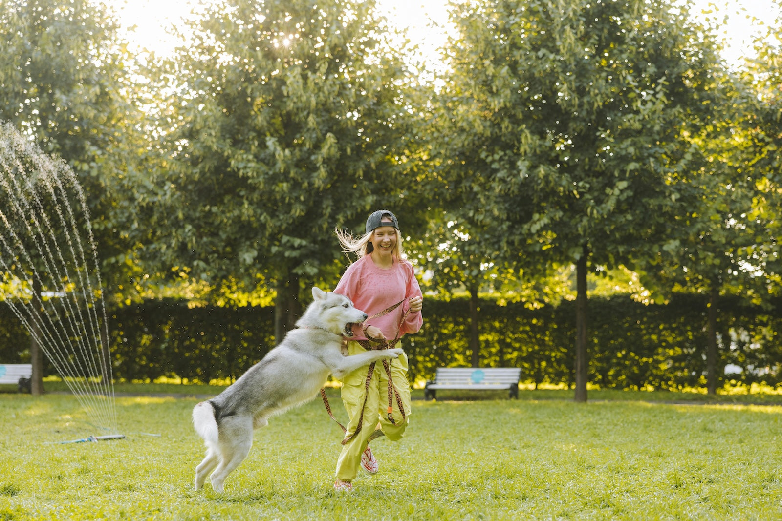 7 Genius Dog Walking Hacks Every Pet Parent Should Know