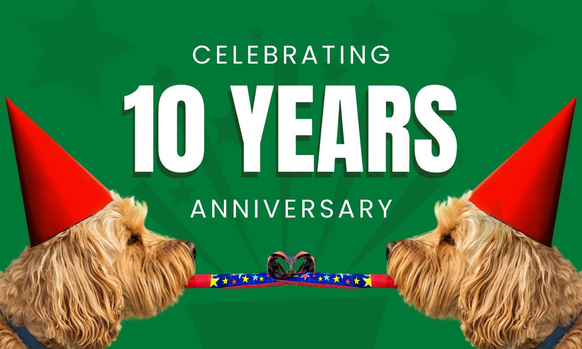 Poop with a Purpose: Celebrating 10 Years of Pet Wellness with Pet N Pet - Pet N Pet ®