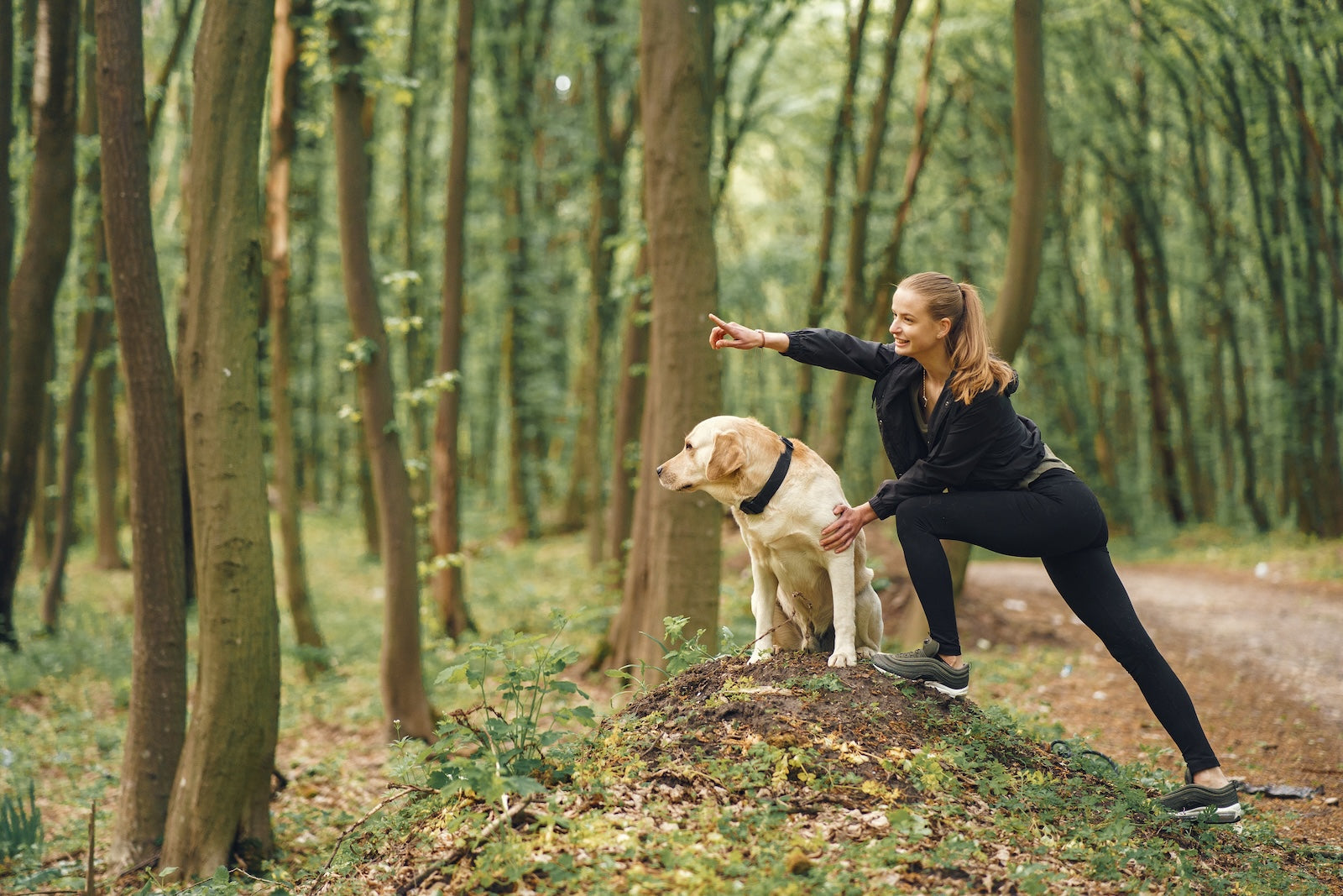 A woman stretching beside her dog in a forest trail before a run, symbolizing the bond and shared fitness benefits of running together as discussed in the blog “Running with Your Dog: Tips for a Safe and Fun Workout.”