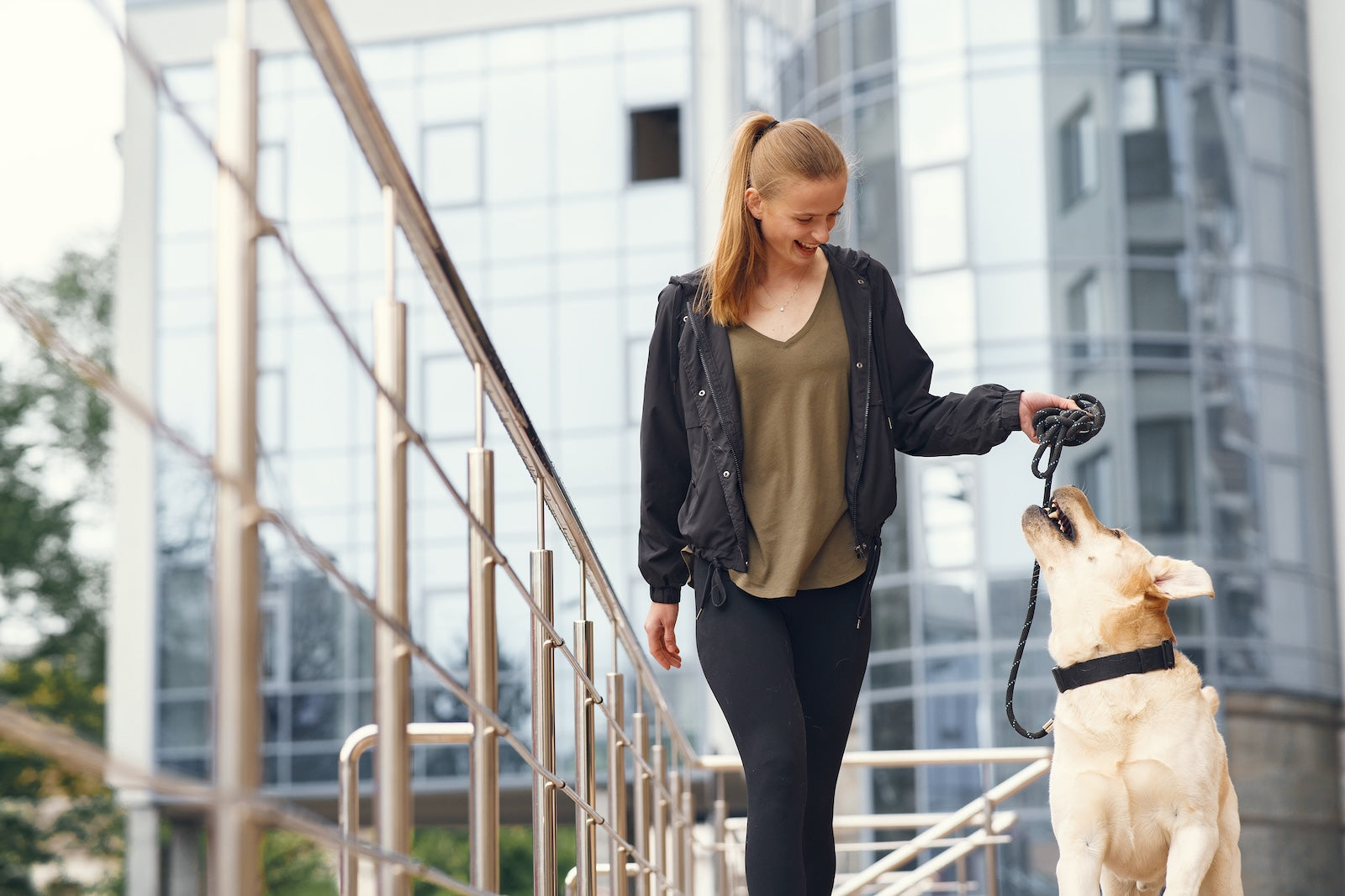 Woman walking a yellow Labrador retriever on a leash along a modern urban walkway, smiling at the dog with glass buildings in the background.