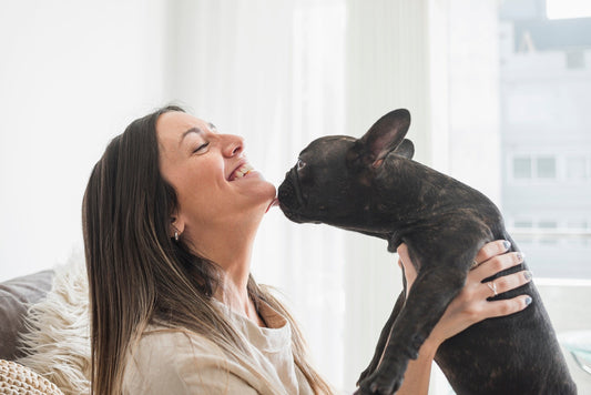 Why Does My Dog Lick Me? Decoding Your Dog’s Affectionate Behavior - Pet N Pet ®