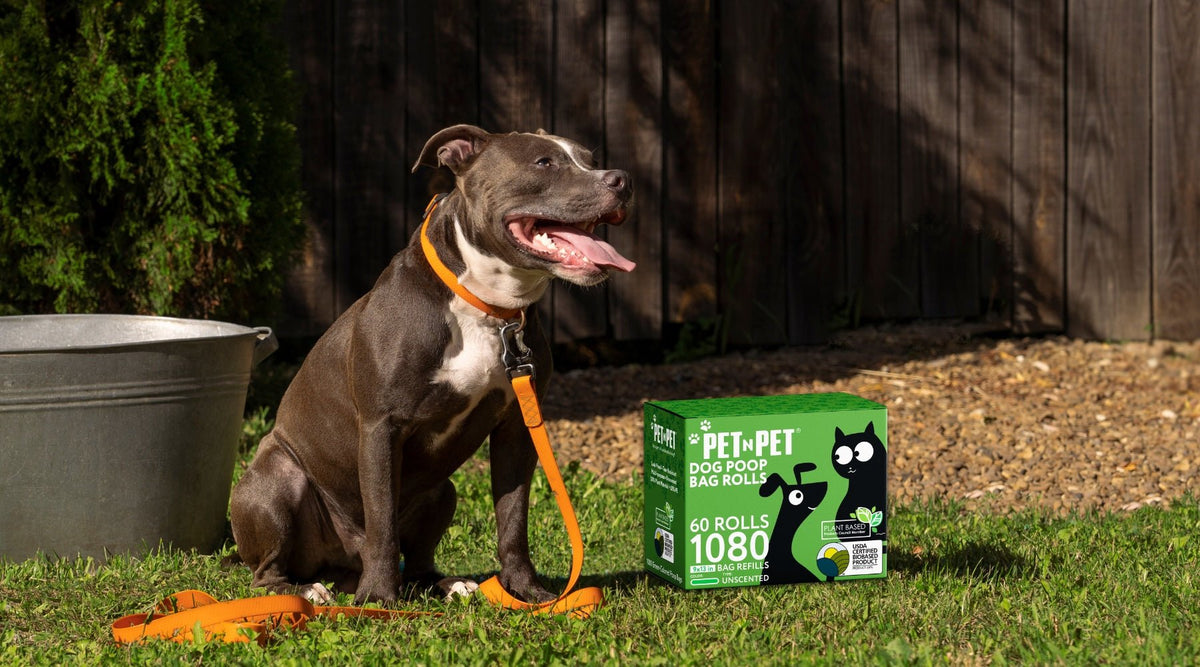 Why Pet Waste is More Than Just a Nuisance - Pet N Pet ®