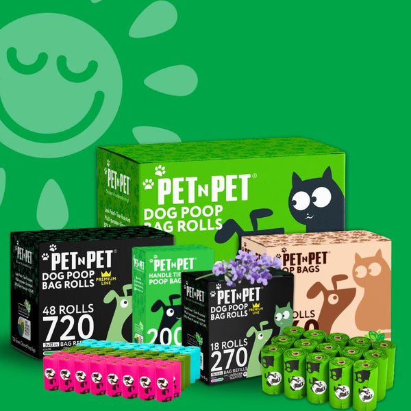 Dog Supplies