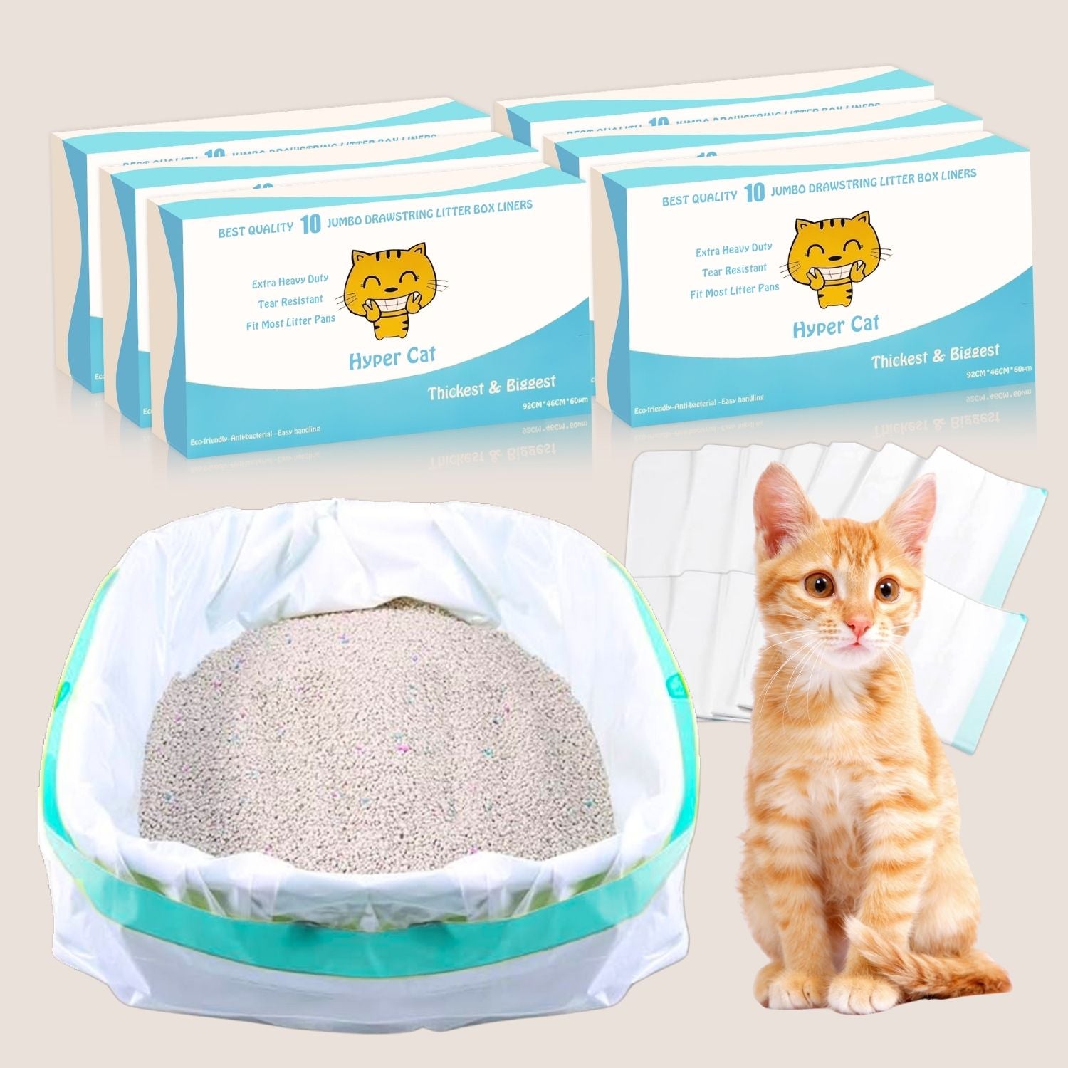Cat litter with packaging and a kitten on a neutral background