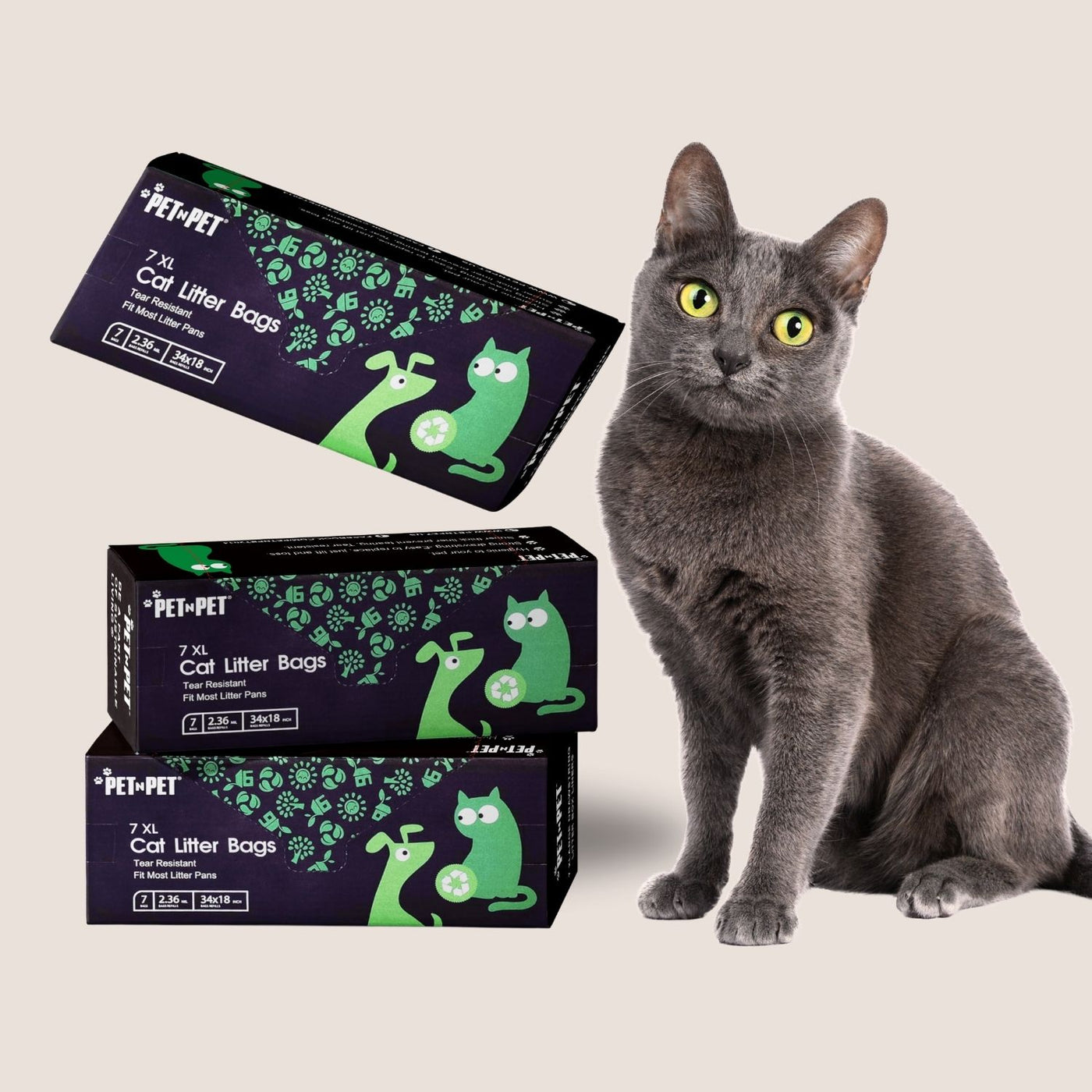 Gray cat sitting next to boxes of Pet N Pet cat litter bags on a light background