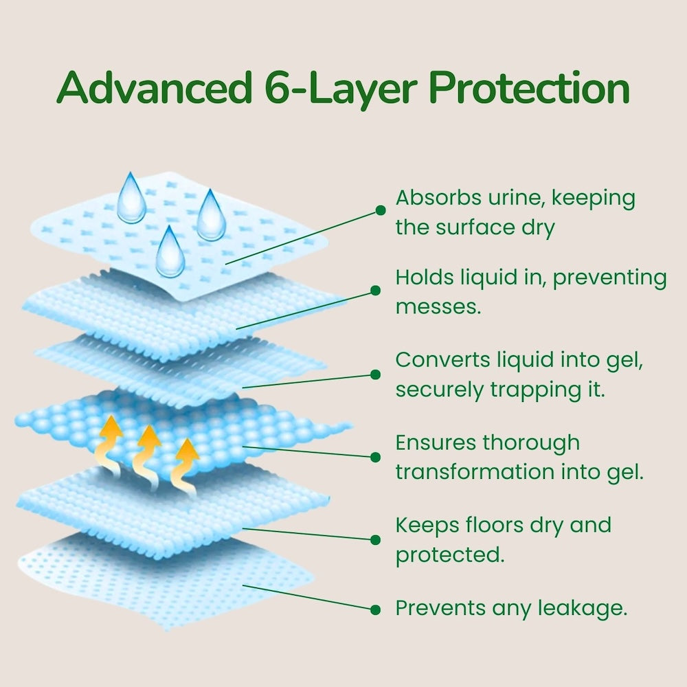 Diagram of advanced 6-layer protection system with text labels on a beige background