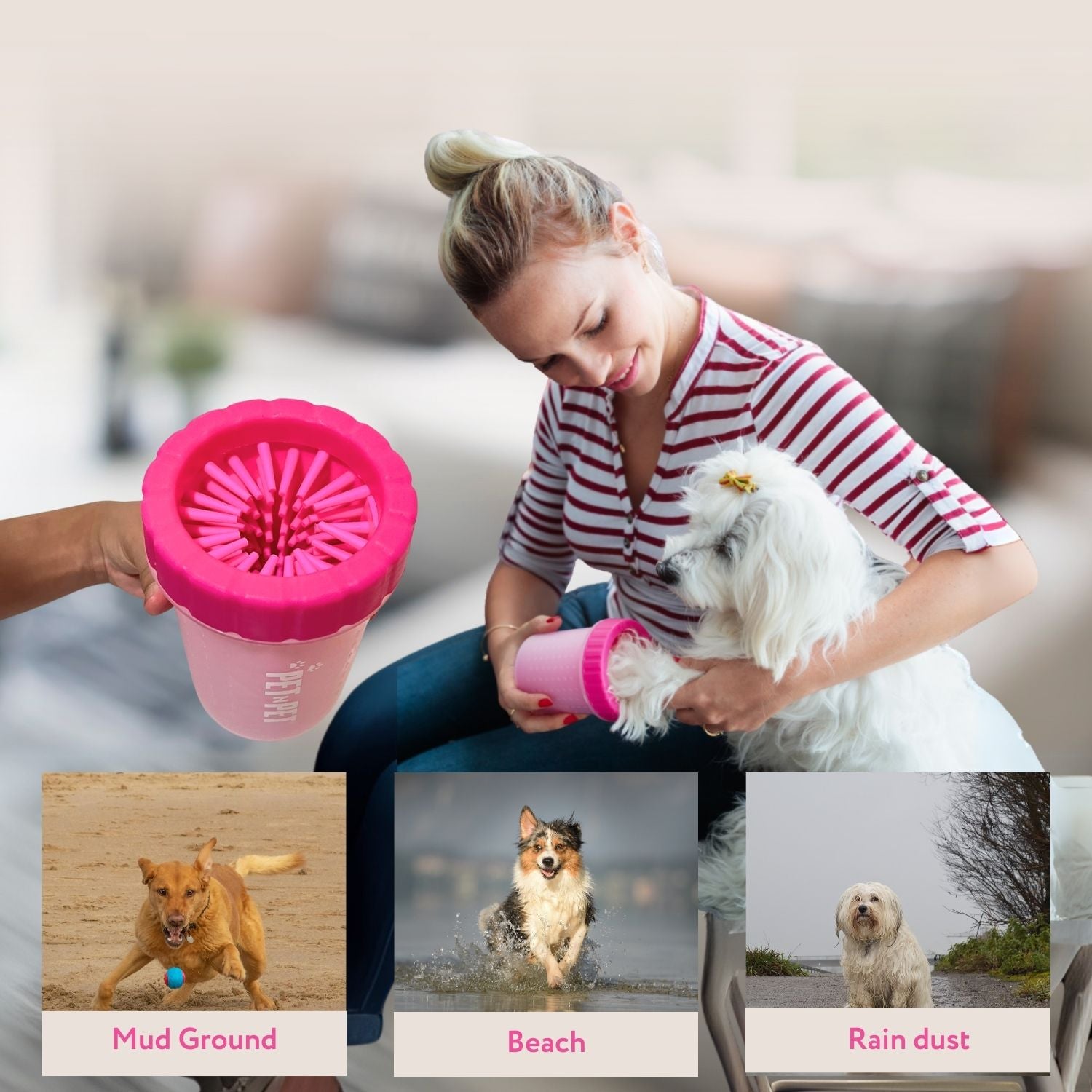 Woman holding a pink pet cleaning device with three inset images of dogs in different environments.