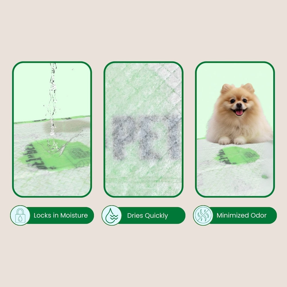 Product features with a dog and text on a beige background