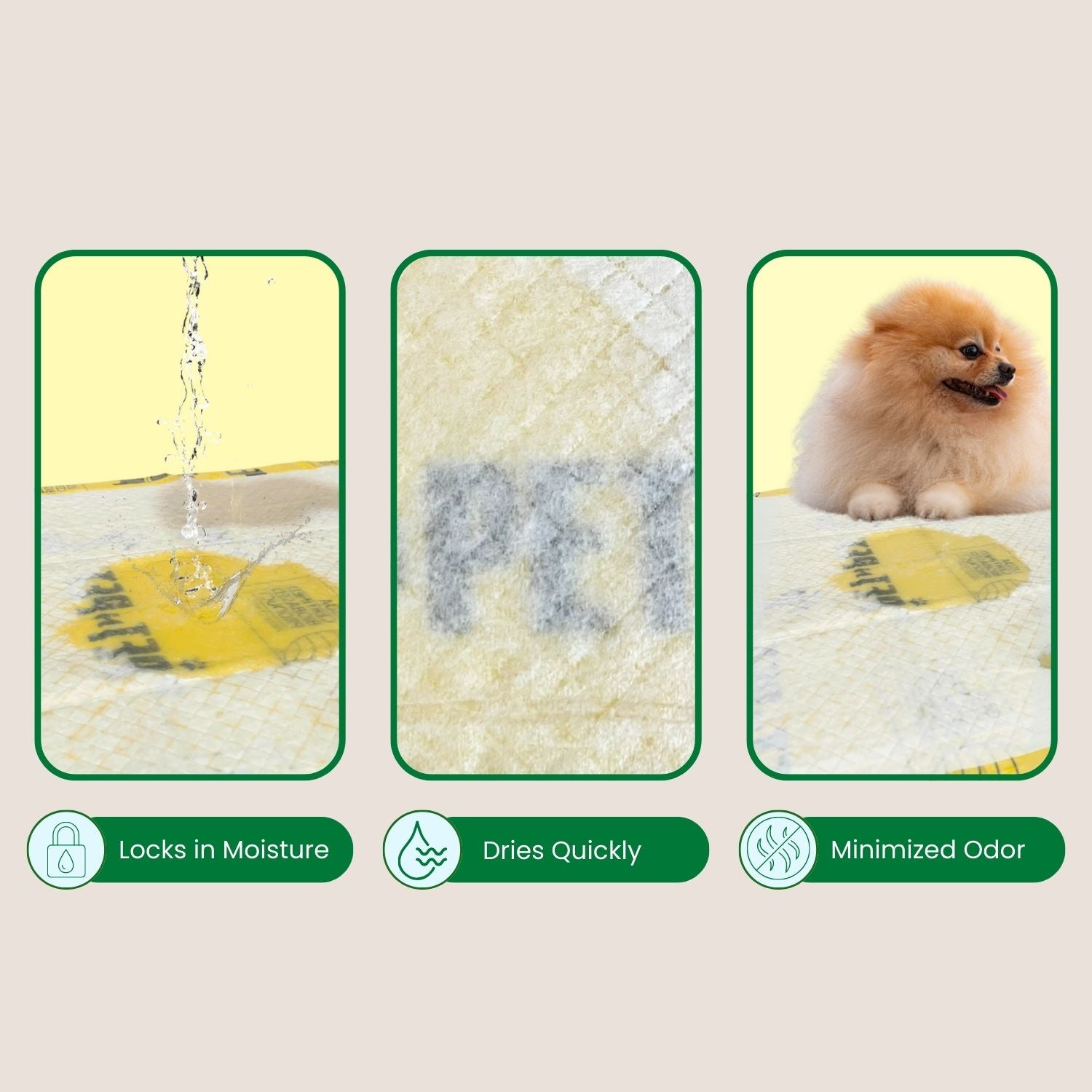 Pet bed with water being poured, showing moisture retention, quick drying, and minimized odor features.