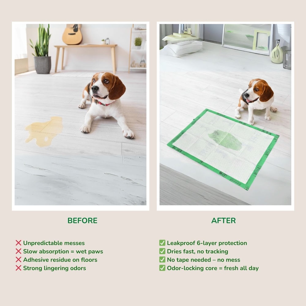 Dog on a wooden floor with a before and after comparison of a mat, showing the product's benefits.