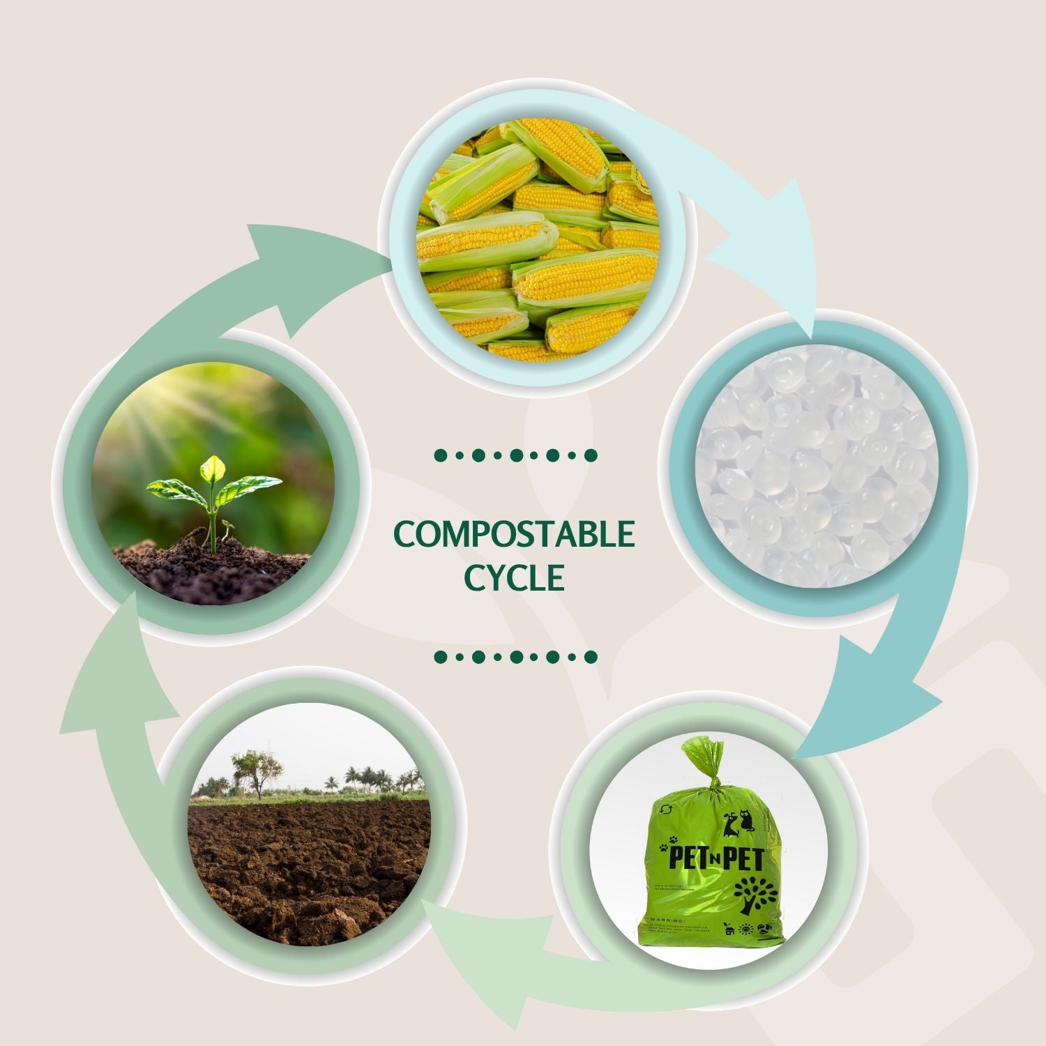 Compostable cycle illustration with stages of decomposition and compost use.