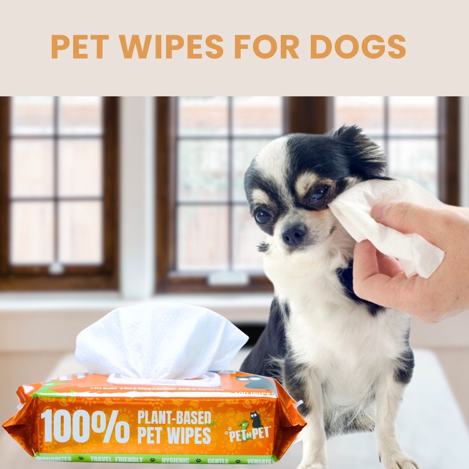 Pet wipes for dogs with a dog and a hand holding a wipe in a home setting.