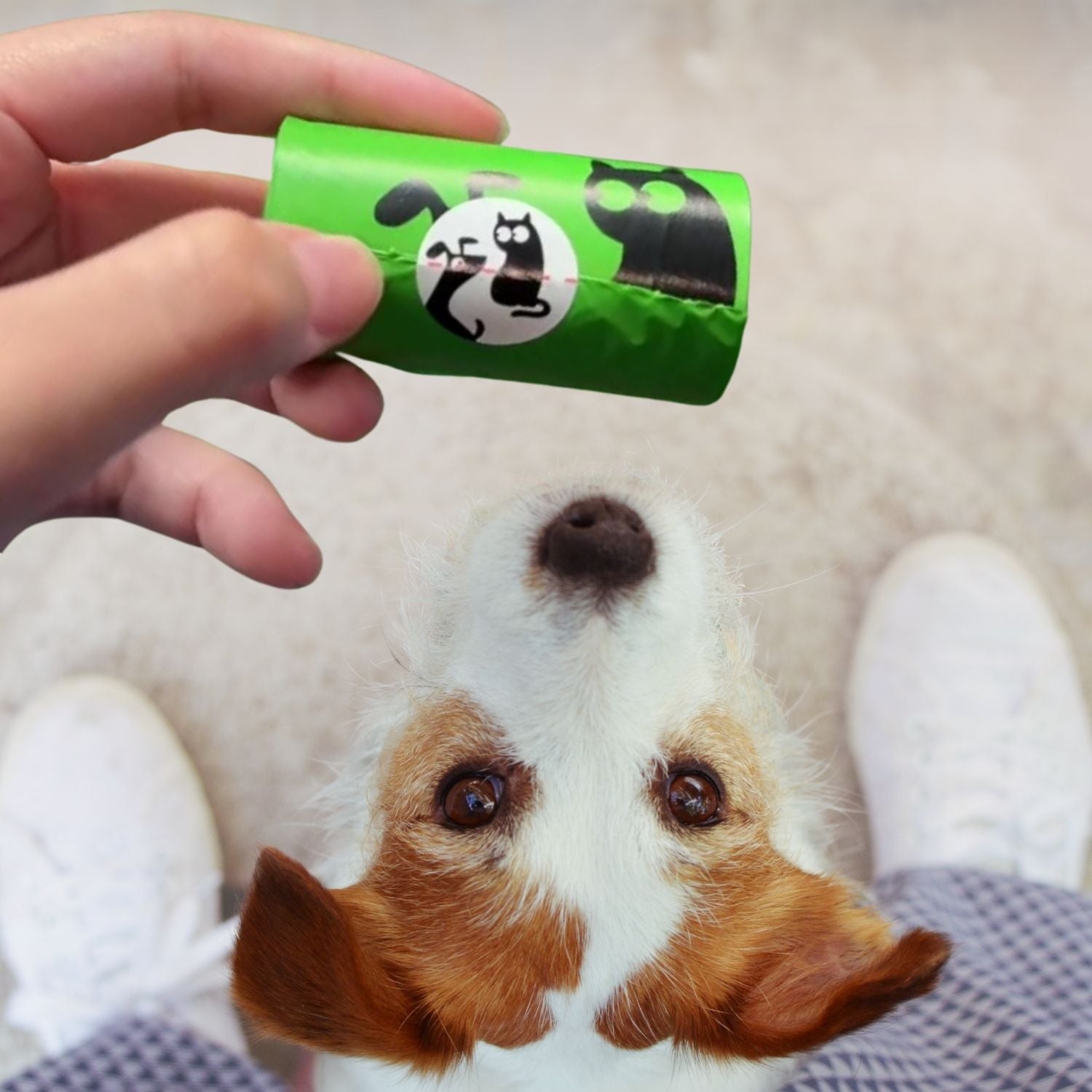Dog looking up at a green tube held by a hand, with a brand logo on the tube.