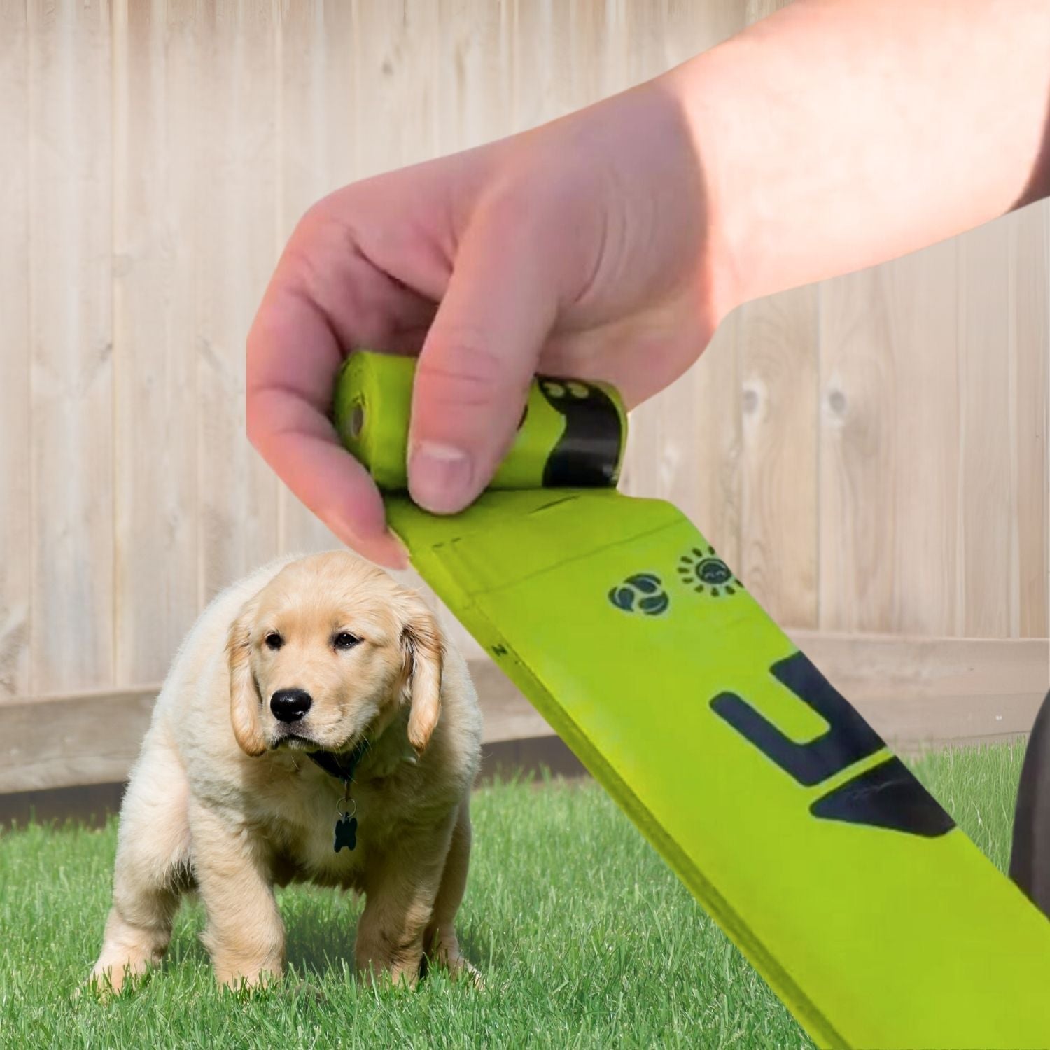 Person holding a green dog leash with a puppy on grass