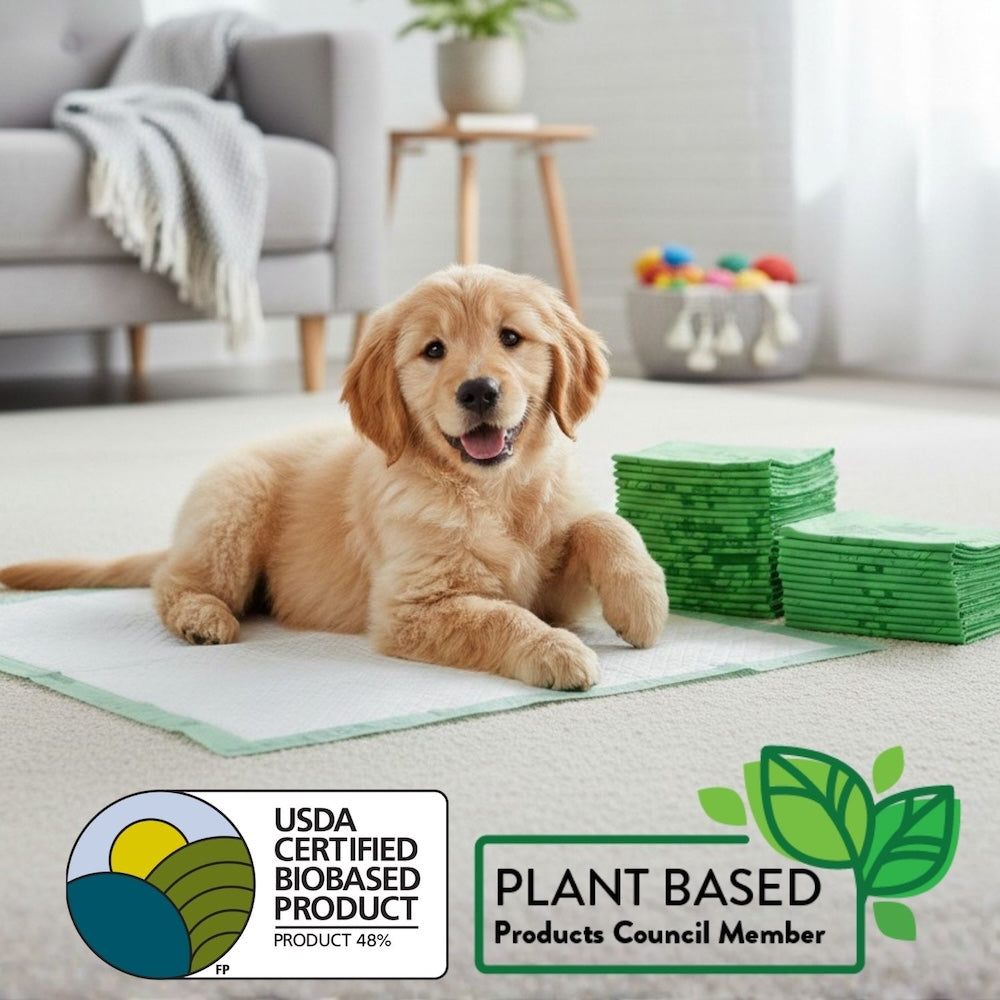 Dog lying on a green pet mat with USDA and Plant Based Product Council logos in a living room.