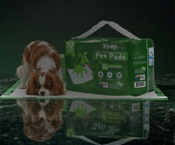 Dog on a green pee pad with a package of PetNPet Pee Pads in the background.