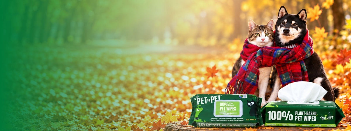A cat and a Shiba Inu dog sit together in an autumn park wearing a red plaid scarf, with two packages of Pet-Pet plant-based pet wipes in the foreground.