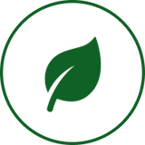 Plant-Based Materials