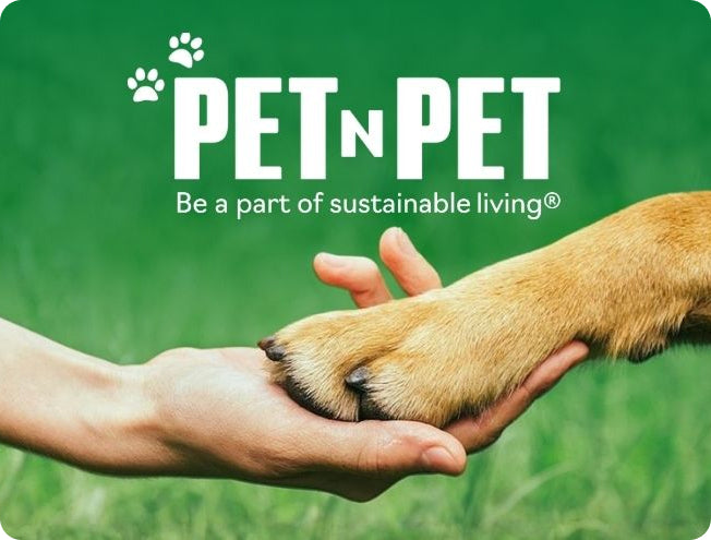 Why Pet Parents Made the Switch