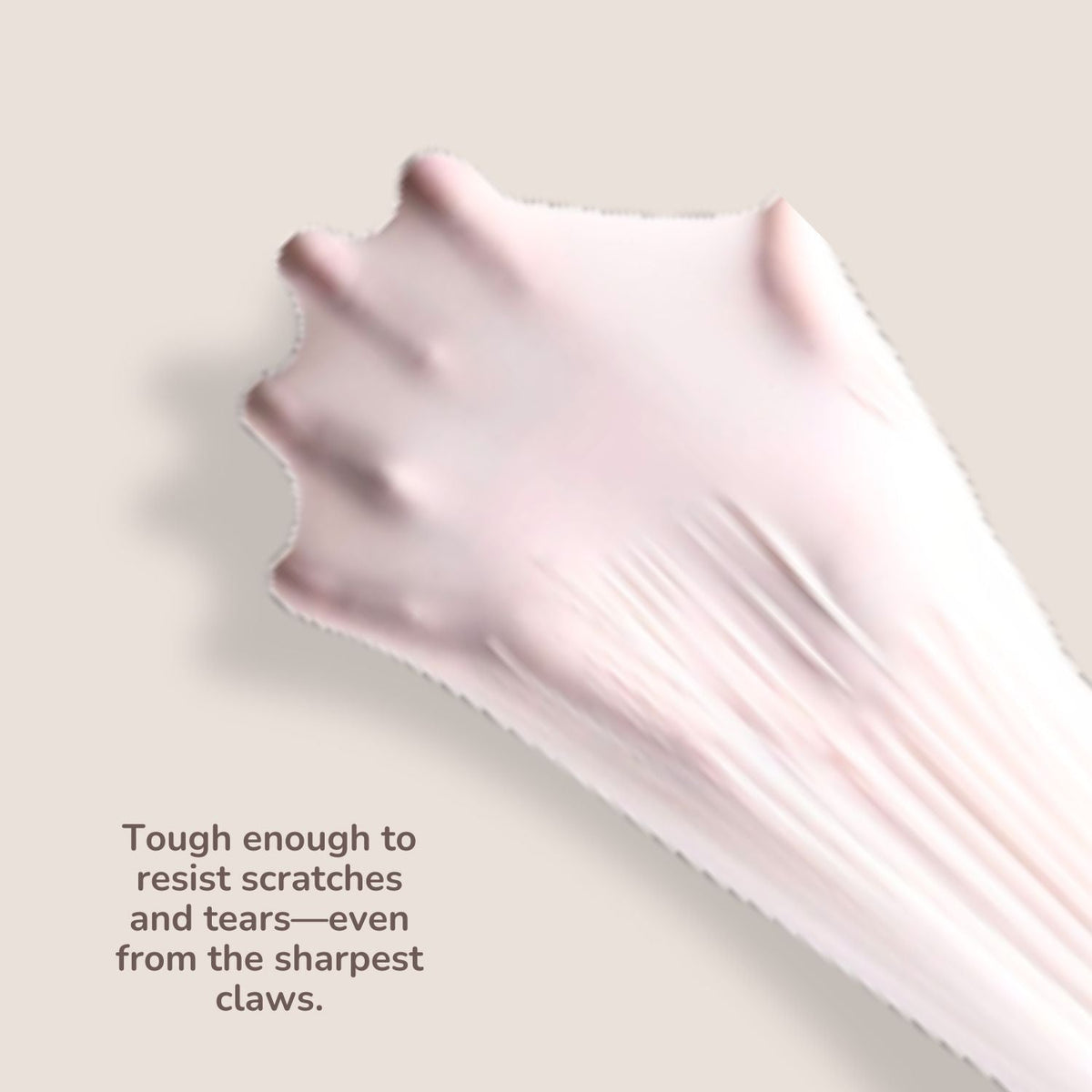 Cleanup Kit - Pet N Pet ®