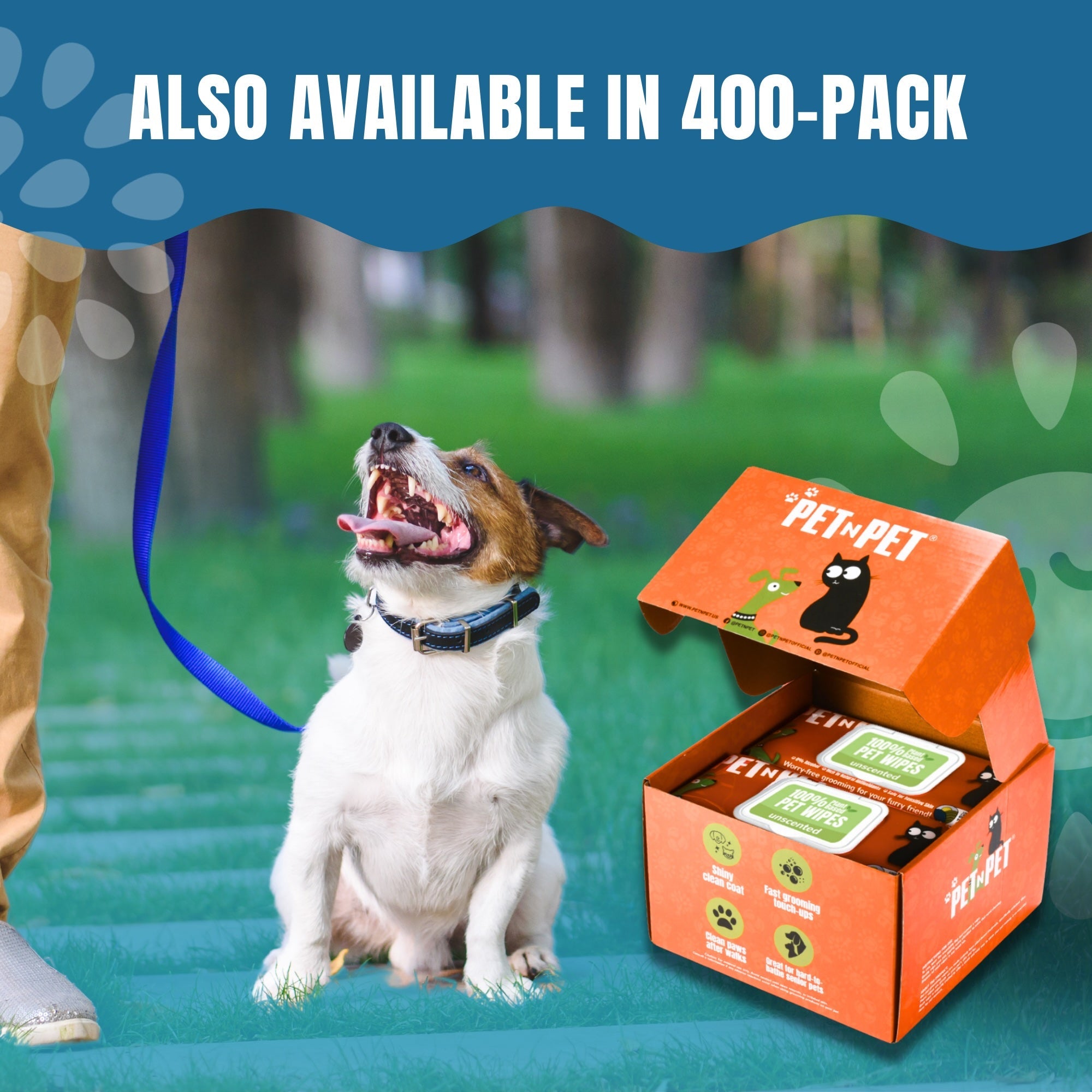 Dog Wipes Cleaning Deodorizing 100 Count - Pet N Pet ®