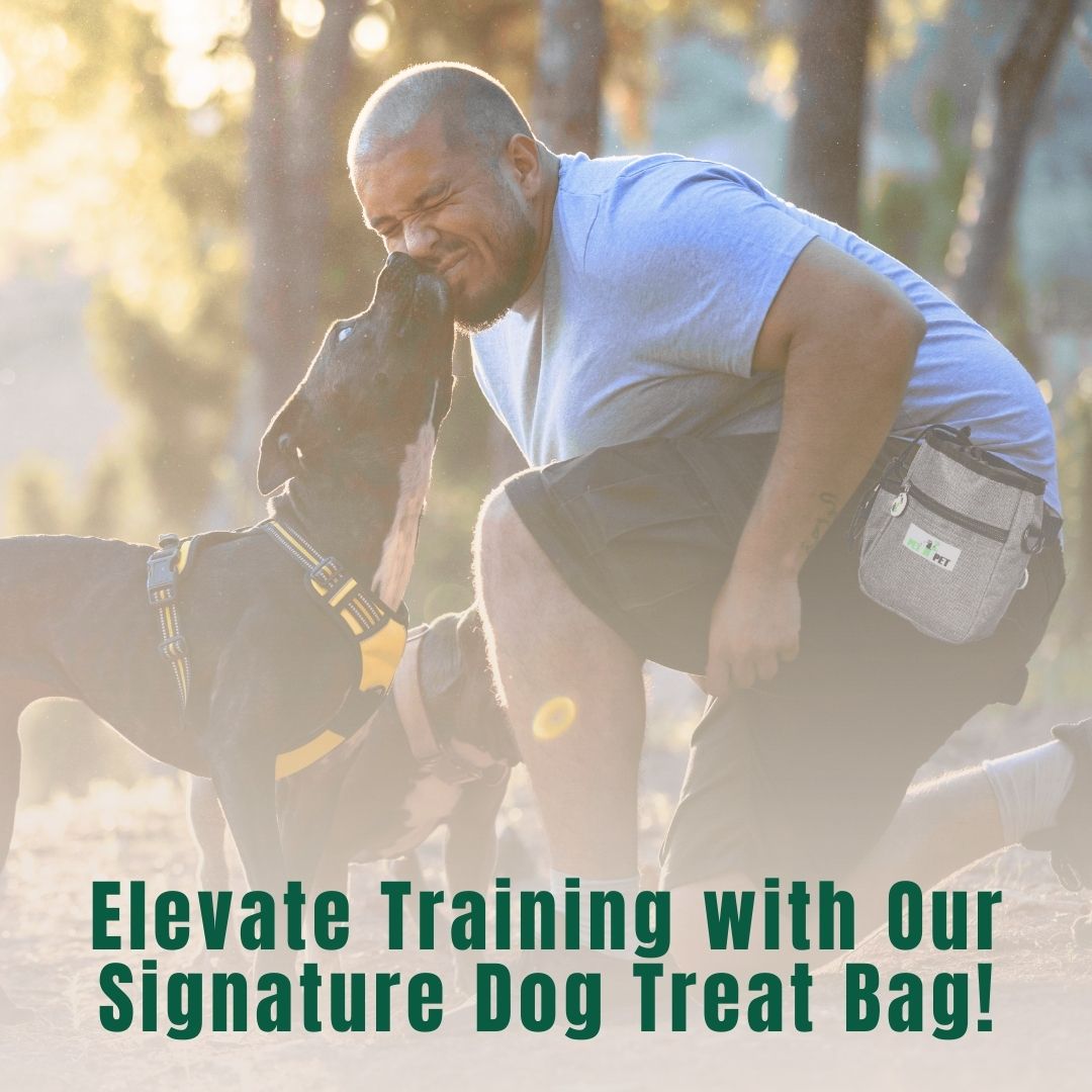 Treat Pouch with Built-In Dispenser - Pet N Pet ®