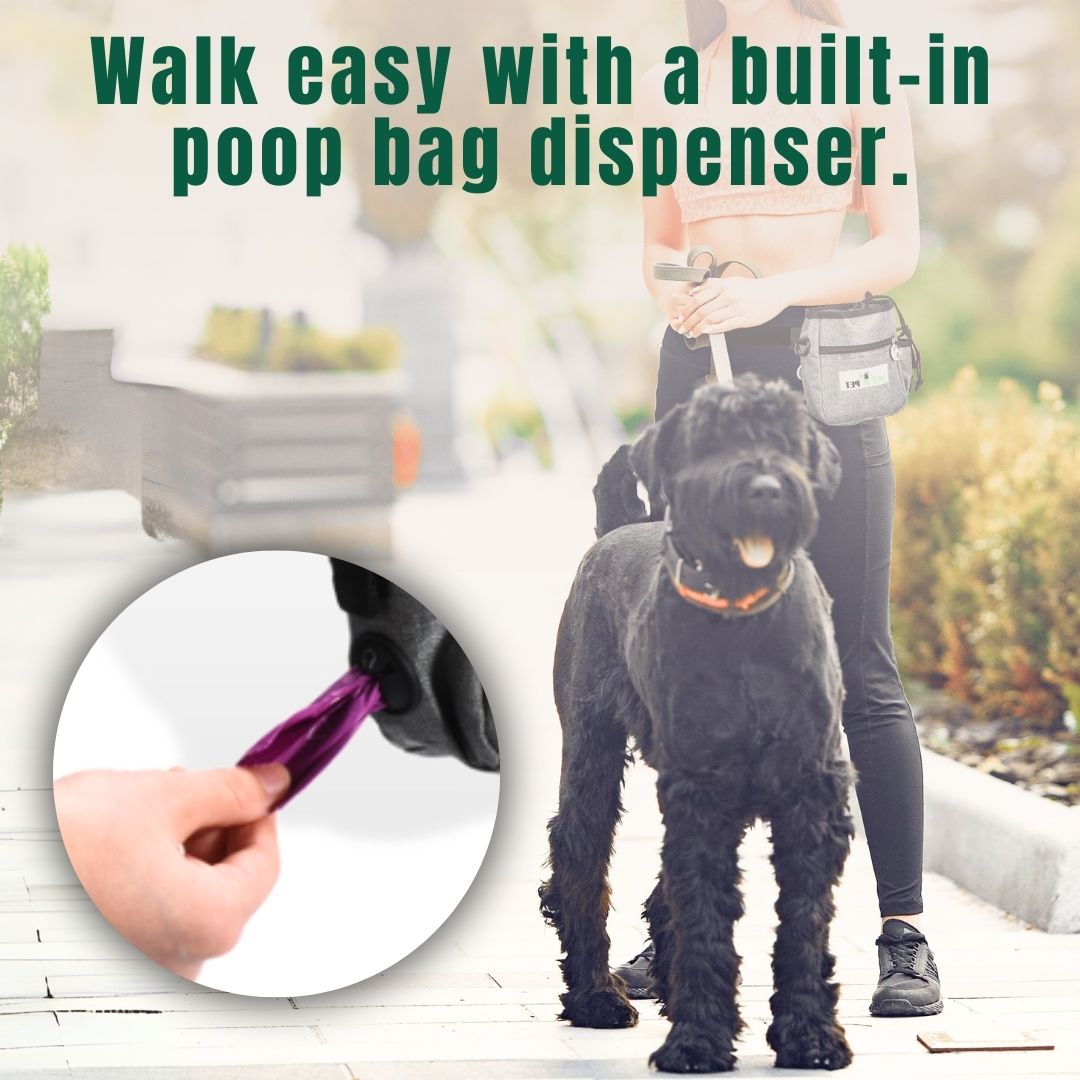 Treat Pouch with Built-In Dispenser - Pet N Pet ®